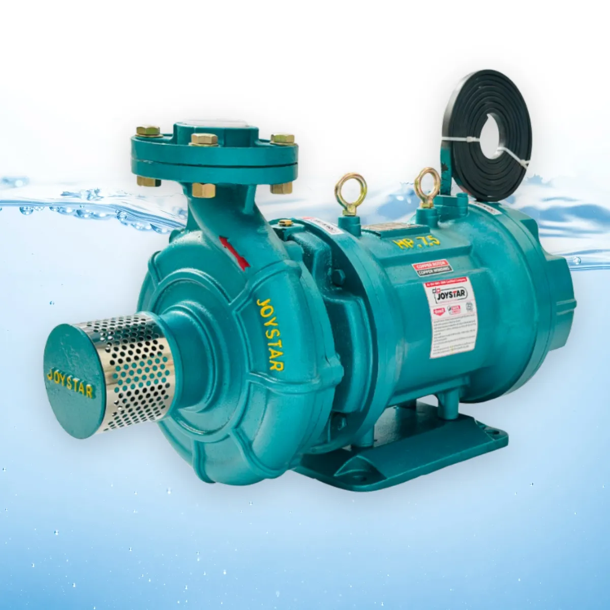 V9 Cast Iron Horizontal Openwell Pump India